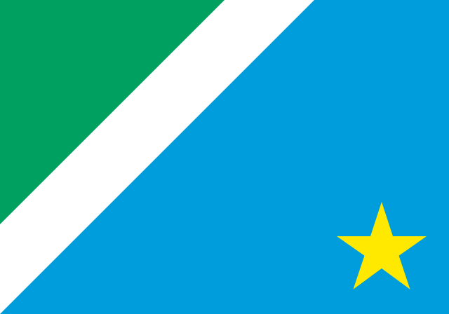 Mato Grosso do Sul flag