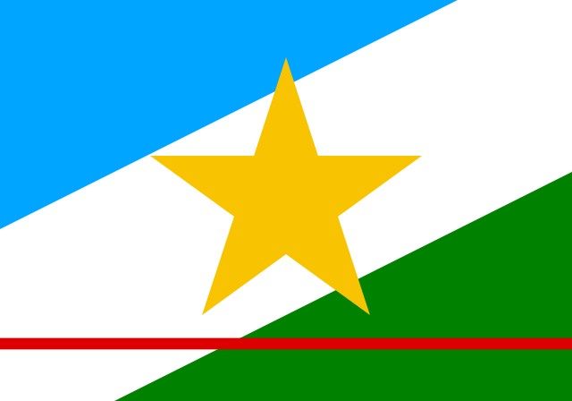 Roraima flag