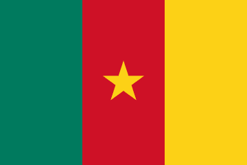 Republic of Cameroon flag