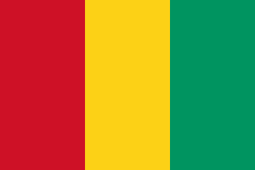 Republic of Guinea flag