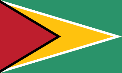 Co-operative Republic of Guyana flag