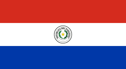 Republic of Paraguay flag